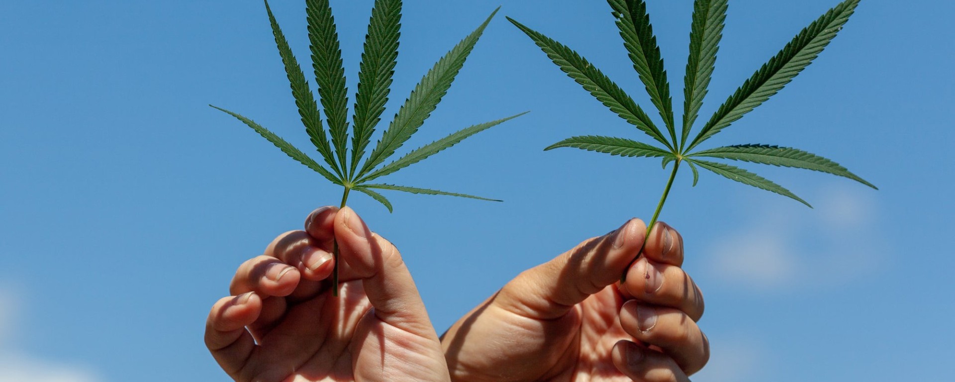 HeyHelloHigh Cannabis Content for Women | Image via Getty