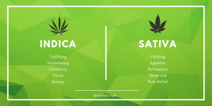 indica-vs-sativa-cannabis-leaf-flower-difference-heyhellohigh