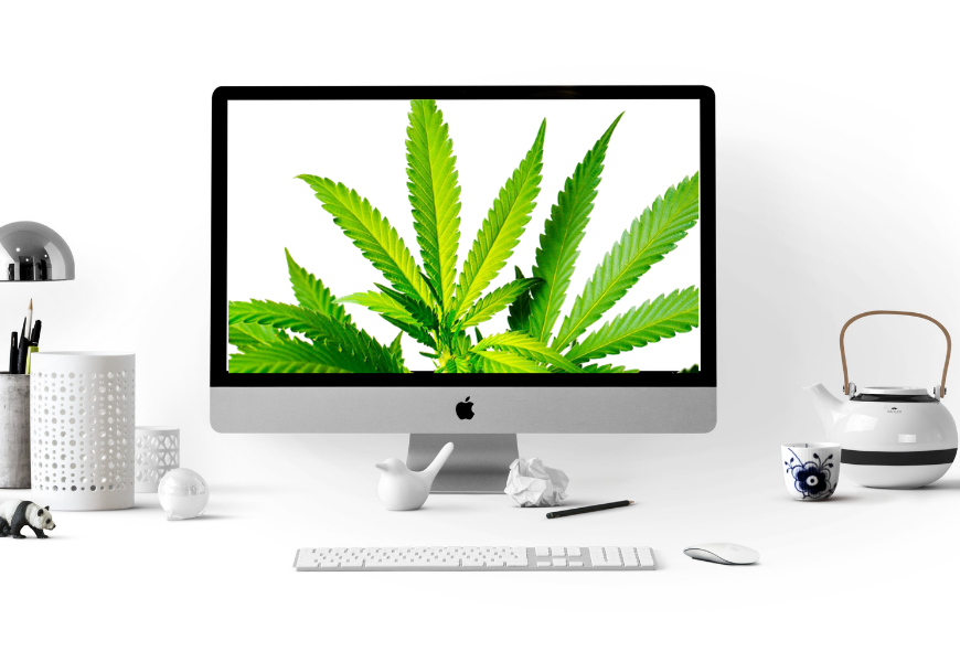 online-cannabis-school-education-heyhellohigh